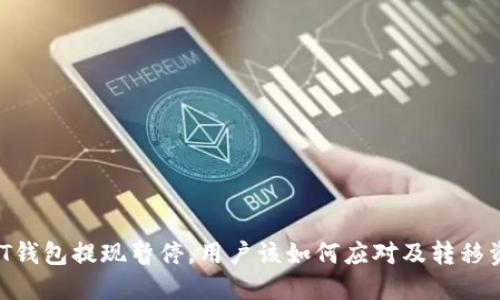USDT钱包提现暂停,用户该如何应对及转移资产?