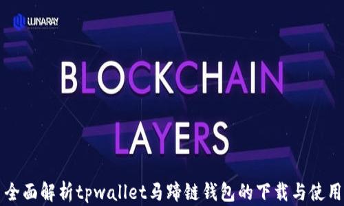 全面解析tpwallet马蹄链钱包的下载与使用