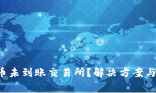 tpwallet提币未到账交易所?解决方案与注意事项分析
