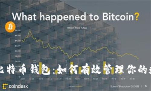 支付宝比特币钱包:如何有效管理你的数字资产