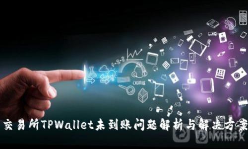 交易所TPWallet未到账问题解析与解决方案