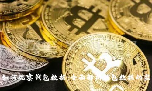: 区块链如何观察钱包数据:全面解析钱包数据的监测与分析