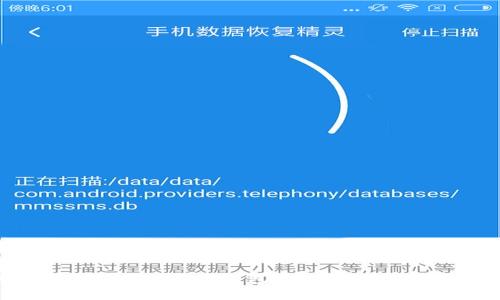 如何选择适合的比特币钱包平台?全方位解析与比较