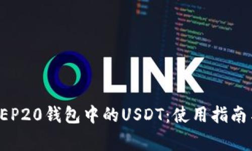 全面解析BEP20钱包中的USDT:使用指南与注意事项