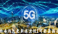 为什么比特币钱包更新速