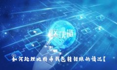 如何处理比特币钱包转错