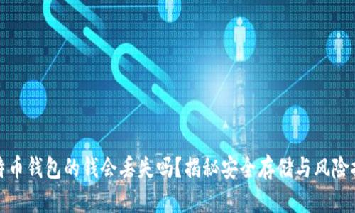 比特币钱包的钱会丢失吗?揭秘安全存储与风险控制