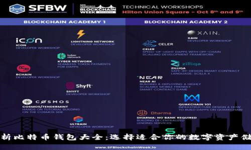 全面解析比特币钱包大全:选择适合你的数字资产储存工具