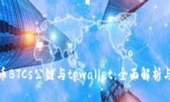 : 中本聪币BTCs公链与tpwa