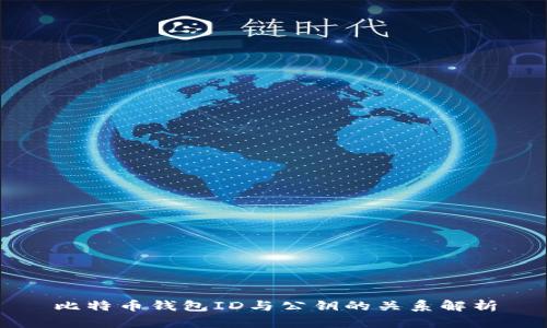 比特币钱包ID与公钥的关系解析