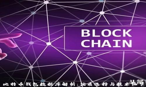 比特币钱包数据库解析:优质选择与技术细节