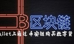 如何在TPWallet上通过币安链