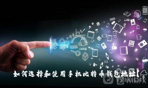 如何选择和使用手机比特币钱包地址?