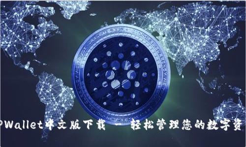TPWallet中文版下载 - 轻松管理您的数字资产