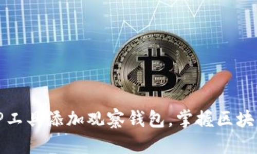 如何使用TP工具添加观察钱包,掌握区块链资产动态