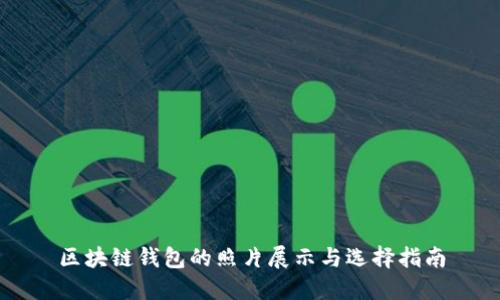 区块链钱包的照片展示与选择指南