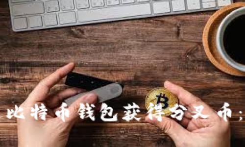 如何通过比特币钱包获得分叉币：全面指南