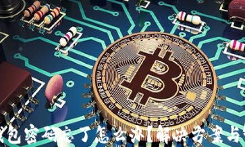 以太坊钱包密码忘了怎么办?解决方案与预防措施