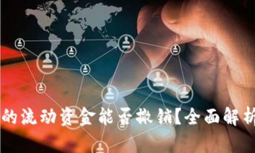 TPWallet中的流动资金能否撤销?全面解析与实用指南