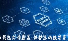 比特币钱包文件覆盖：保