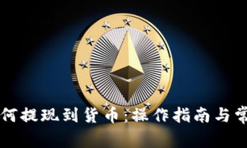 TPWallet如何提现到货币:操作指南与常见问题解答