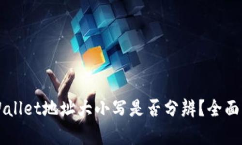 ### TPWallet地址大小写是否分辨？全面解析与解答