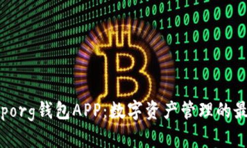 Bitkeeporg钱包APP:数字资产管理的最佳选择