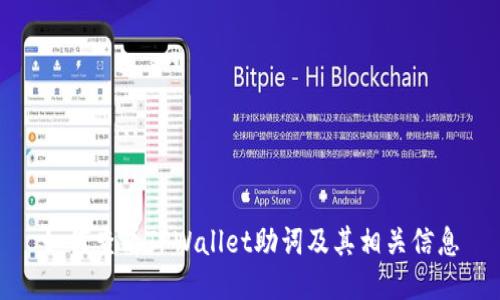 如何查看TPWallet助词及其相关信息