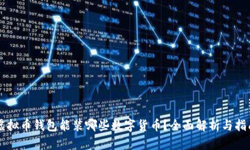 虚拟币钱包能装哪些数字货币?全面解析与指南