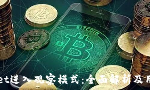   
TPWallet进入观察模式：全面解析及用户指南