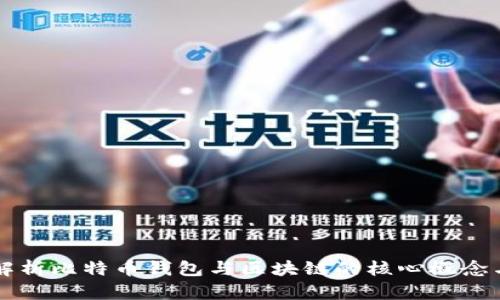 全面解析比特币钱包与区块链的核心概念与应用