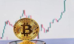 以太坊钱包标签通常指的