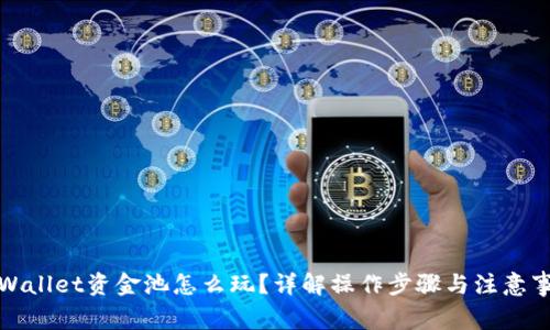 TPWallet资金池怎么玩?详解操作步骤与注意事项