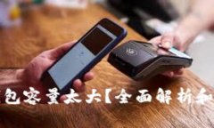 比特币钱包容量太大？全