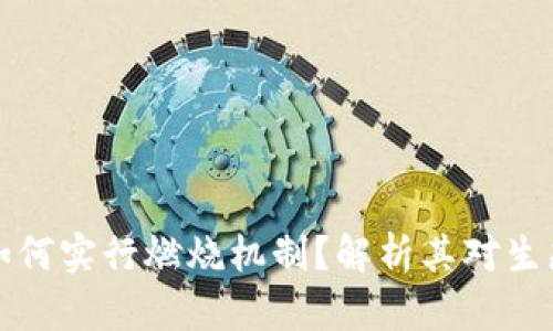 : TPWallet如何实行燃烧机制?解析其对生态系统的影响