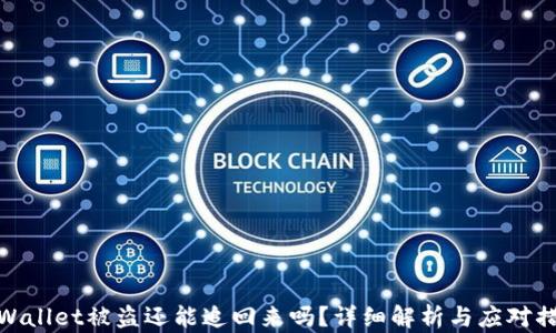TPWallet被盗还能追回来吗?详细解析与应对措施