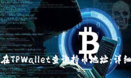 如何在TPWallet查询持币地址:详细指南