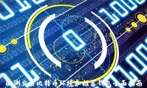 欧洲交易比特币环境和推荐钱包全面指南