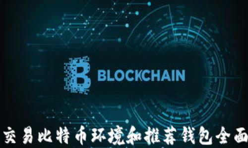 欧洲交易比特币环境和推荐钱包全面指南