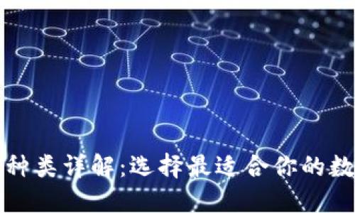 比特币钱包种类详解:选择最适合你的数字货币钱包