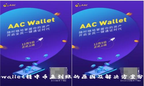 tpwallet转中币未到账的原因及解决方案分析