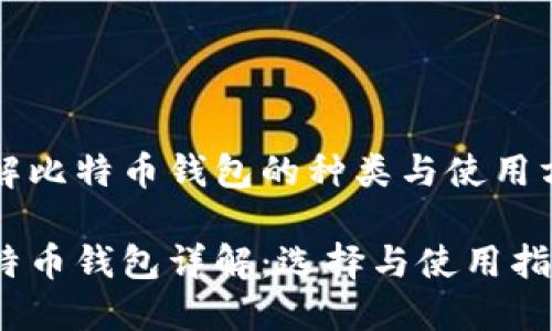 理解比特币钱包的种类与使用方法

比特币钱包详解：选择与使用指南