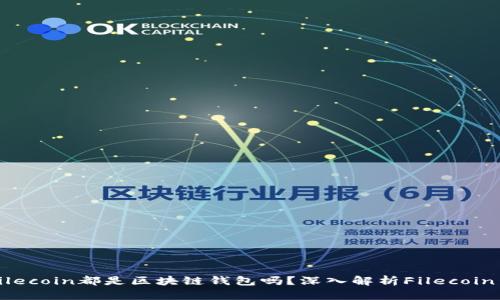 所有的Filecoin都是区块链钱包吗?深入解析Filecoin生态系统