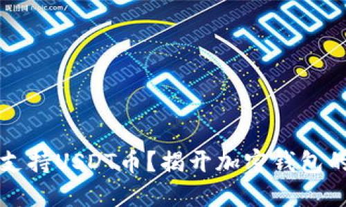 什么钱包支持USDT币?揭开加密钱包的选择指南