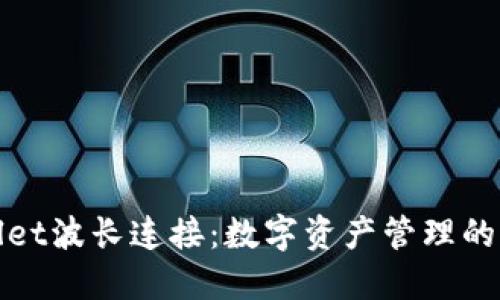 TPWallet波长连接：数字资产管理的新选择