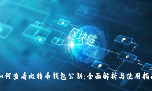 如何查看比特币钱包公钥:全面解析与使用指南