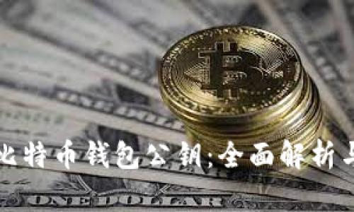 如何查看比特币钱包公钥:全面解析与使用指南