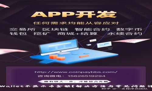 TPWallet不显示币金额?解决方法与常见问题详解