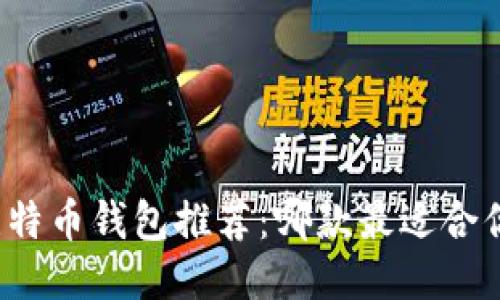 比特币钱包推荐:哪款最适合你?