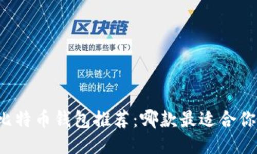 比特币钱包推荐:哪款最适合你?